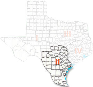 AIPG-TX Districts I, II, III and IV Map