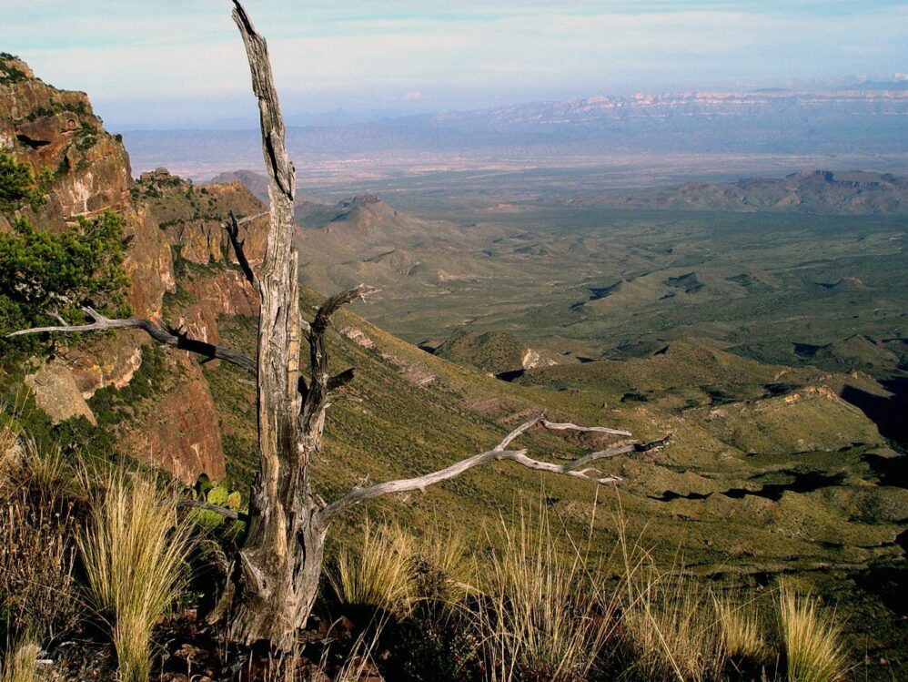 South Rim Vista, Credit: NPS Photo/Mark Schuler
